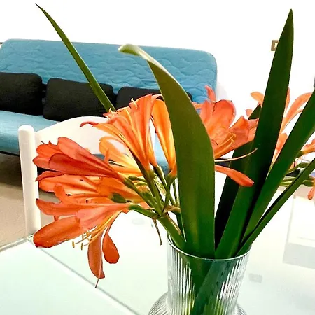 La Scuna * كورنيجليا