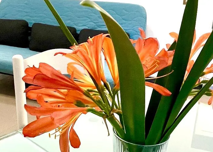 La Scuna * Corniglia